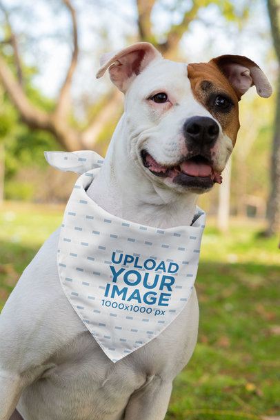 31+ Download Bandana Mockup Free&nbsp;Psd